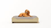 The Modernist Doggy Bed  - Low (Birch)